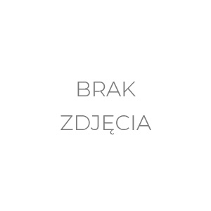 ACO INS-P-L NT puszka natynkowa z daszkiem