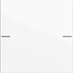 GIRA zestaw klawiszy 1x TS4 System 55 biały 575103